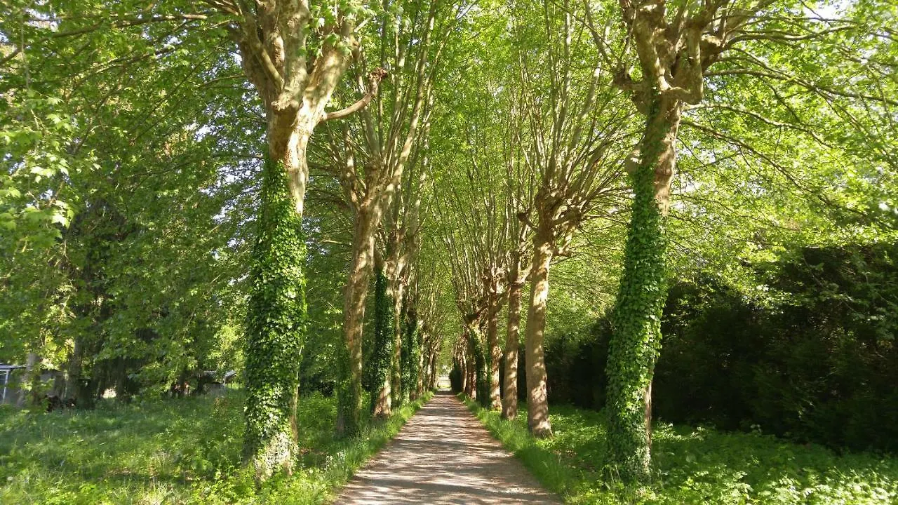 Domaine De Bramefaon Barbizon